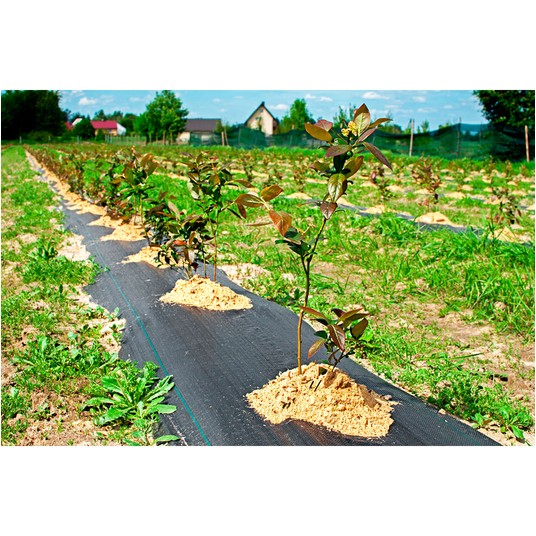 Agrotkanina PP czarna UV 90gr 100x0,8m -zdjęcie numer 2