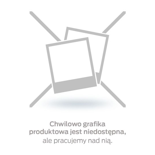 Dłuto płaskie SDS MAX 75x300mm REXER -zdjęcie numer 1